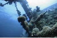 Photo Reference of Shipwreck Sudan Undersea 0014